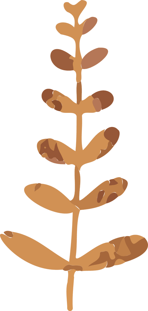 Botanical Mottled Plant Branch on Transparent Background