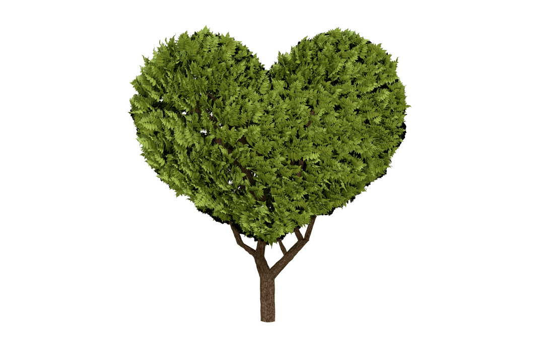 Green Heart-Shaped Tree Illustration on Transparent Background