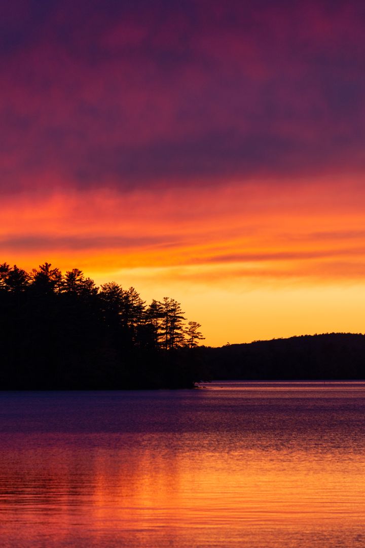 Vibrant sunset over calm lake with pine silhouette and fiery orange-purple sky reflection