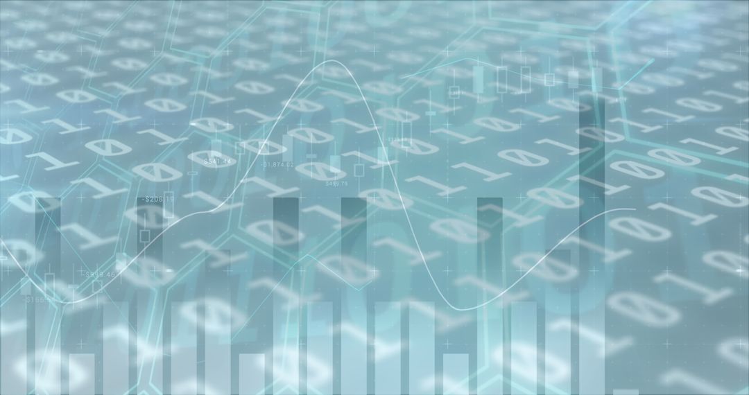 Financial Data Processing with Digital Binary Overlay