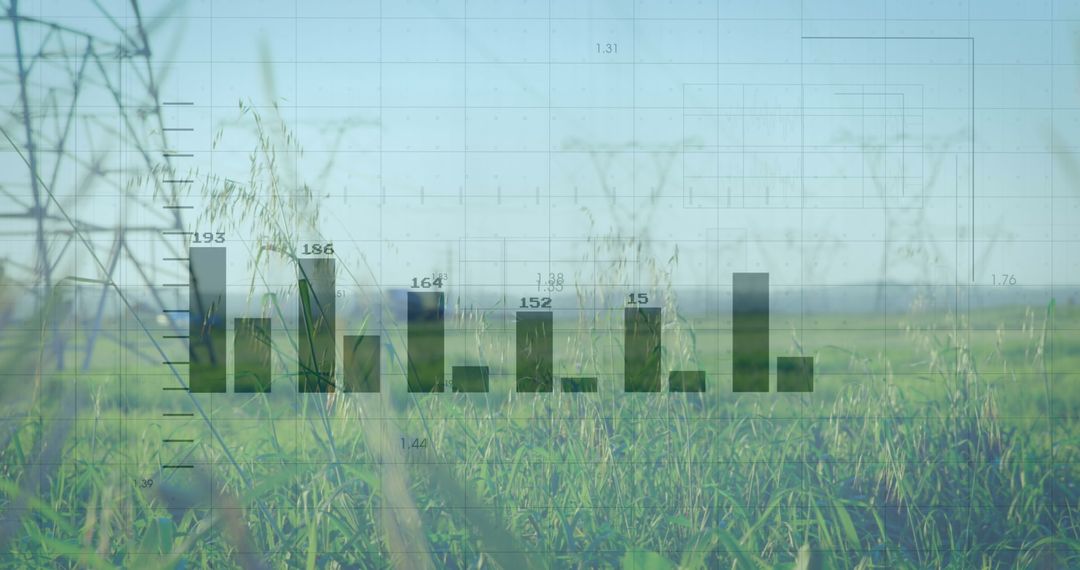 Digital Financial Graph over Sunny Countryside Fields
