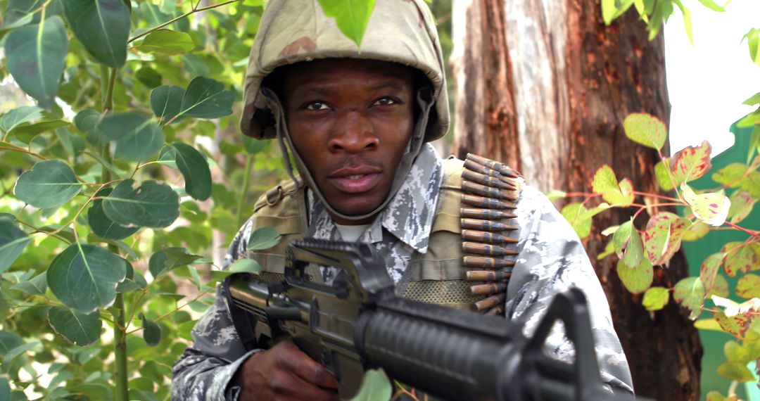 African American Soldier On Alert in Forested Terrain