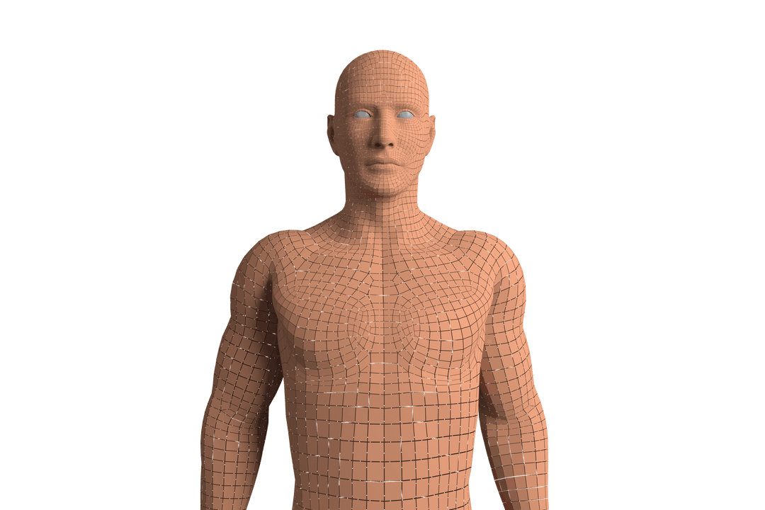 Digital Human Model on Transparent Background for Sci-Tech Design