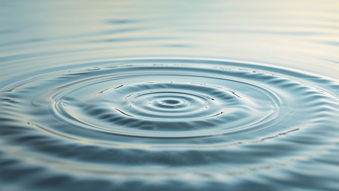 Concentric Ripples Creating Harmony Across Calm Pond Surface