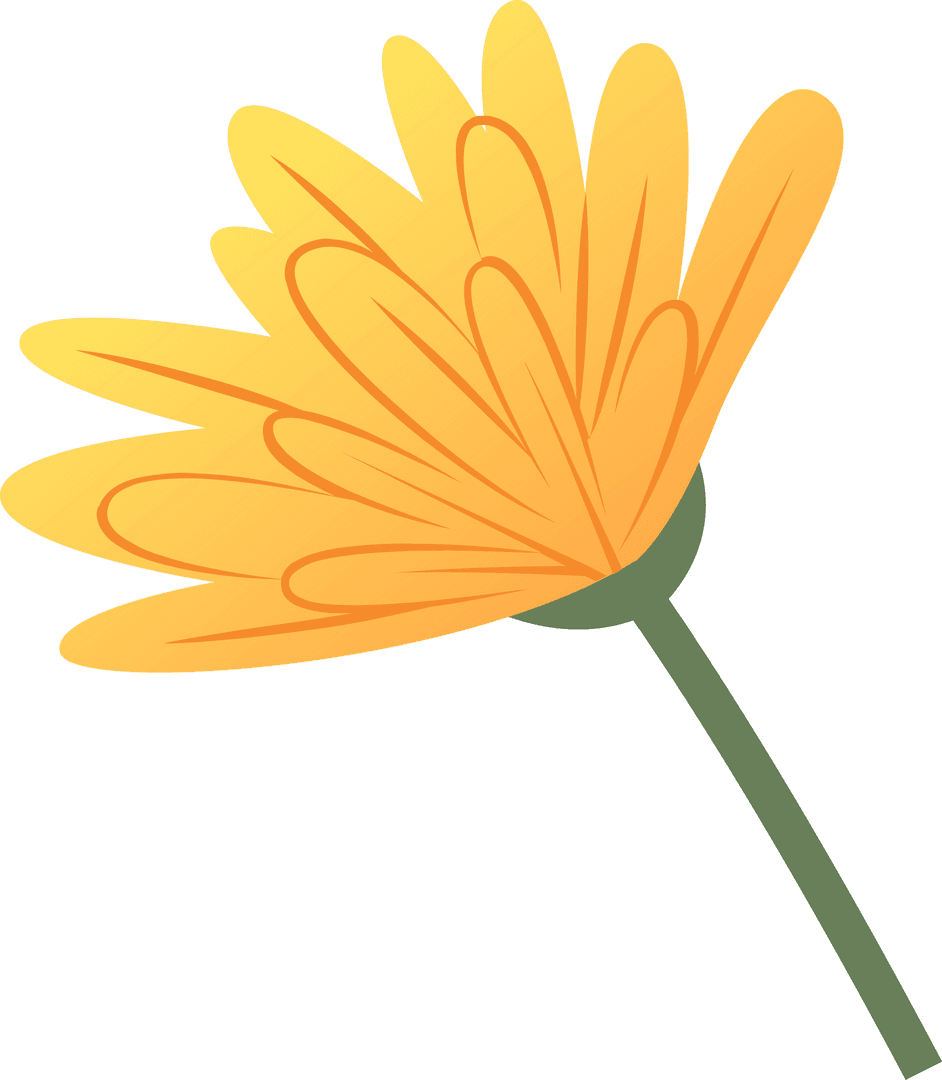 Transparent Side View of Gradient Daisy Illustration
