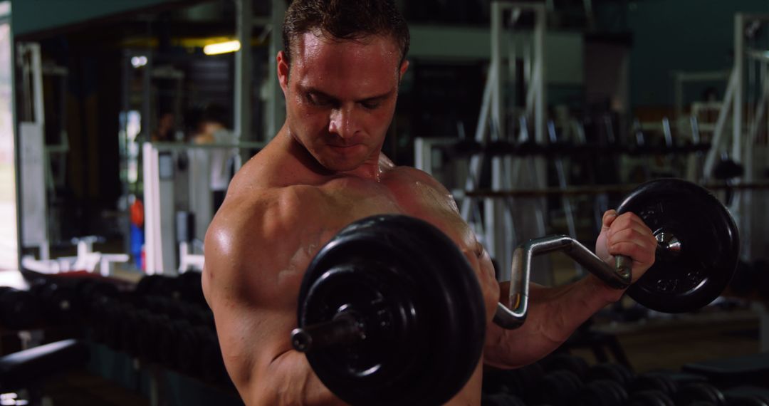 Muscular Man Lifting Weights in Gym - Free Images, Stock Photos and Pictures on Pikwizard.com