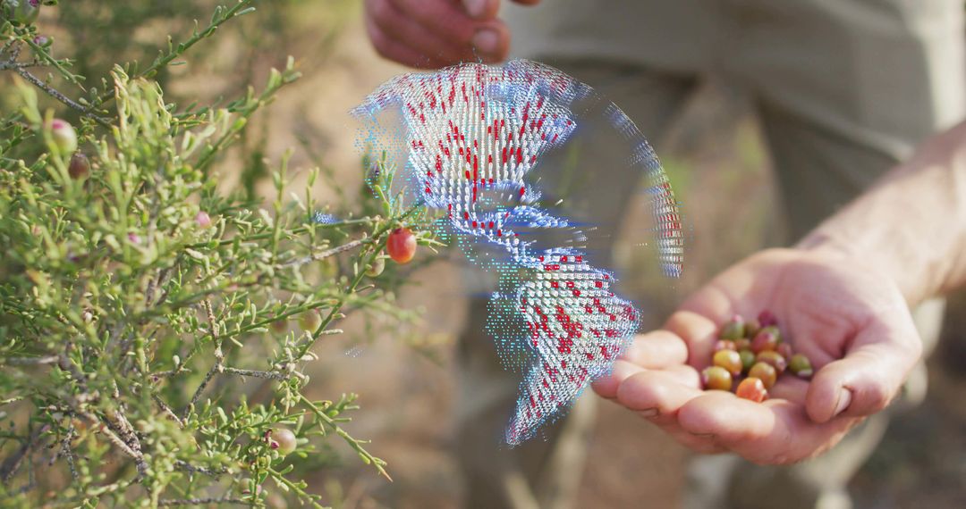 Farmer harvesting berries with holographic globe overlay for precision agriculture