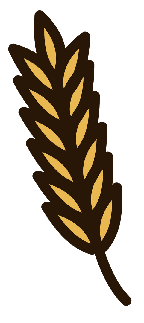 Golden Ear of Wheat Illustration on Transparent Background