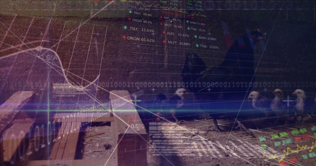 Chicken Farming Trends with Stock Market Data Overlaid