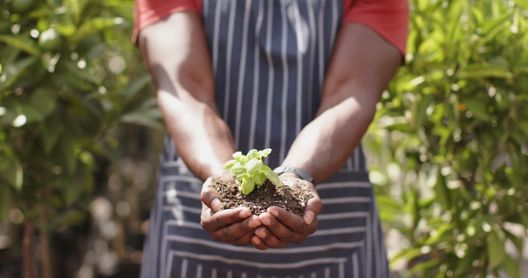 Gardener Holding Seedling Between Hands in Outdoor Nursery