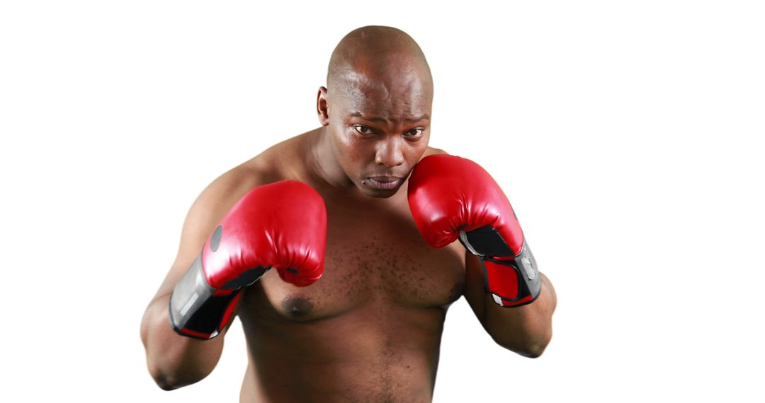 Determined Boxer in Red Gloves Preparing for Fight - Free Images, Stock Photos and Pictures on Pikwizard.com