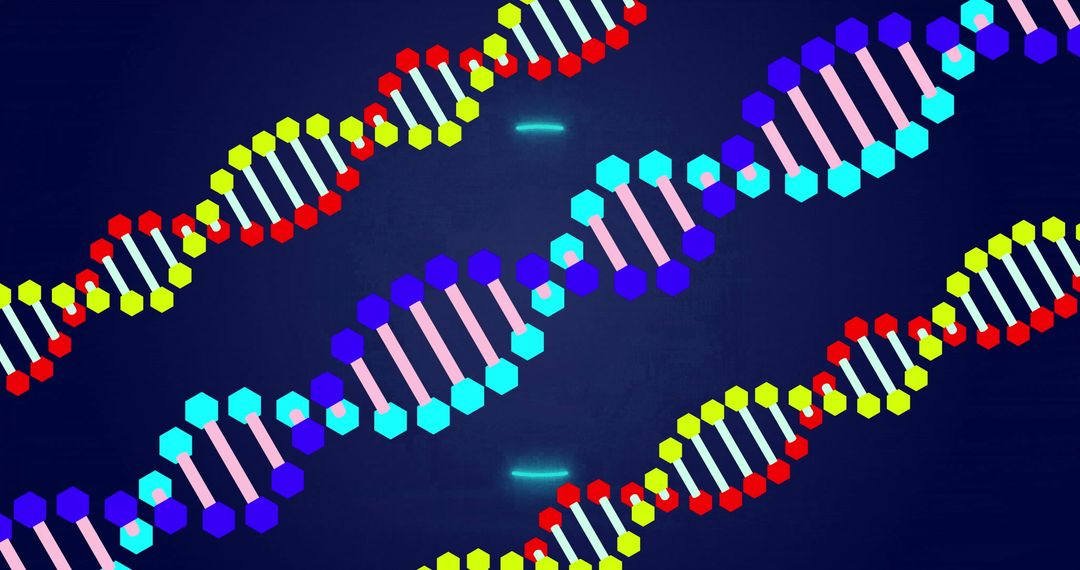 Colorful Digital Representation of DNA Strands
