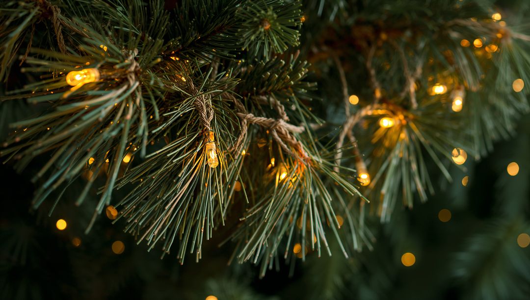 Glowing Pine Branch with Warm LED Lights and Twine Rustic Holiday Close-Up Macro Cozy Bokeh