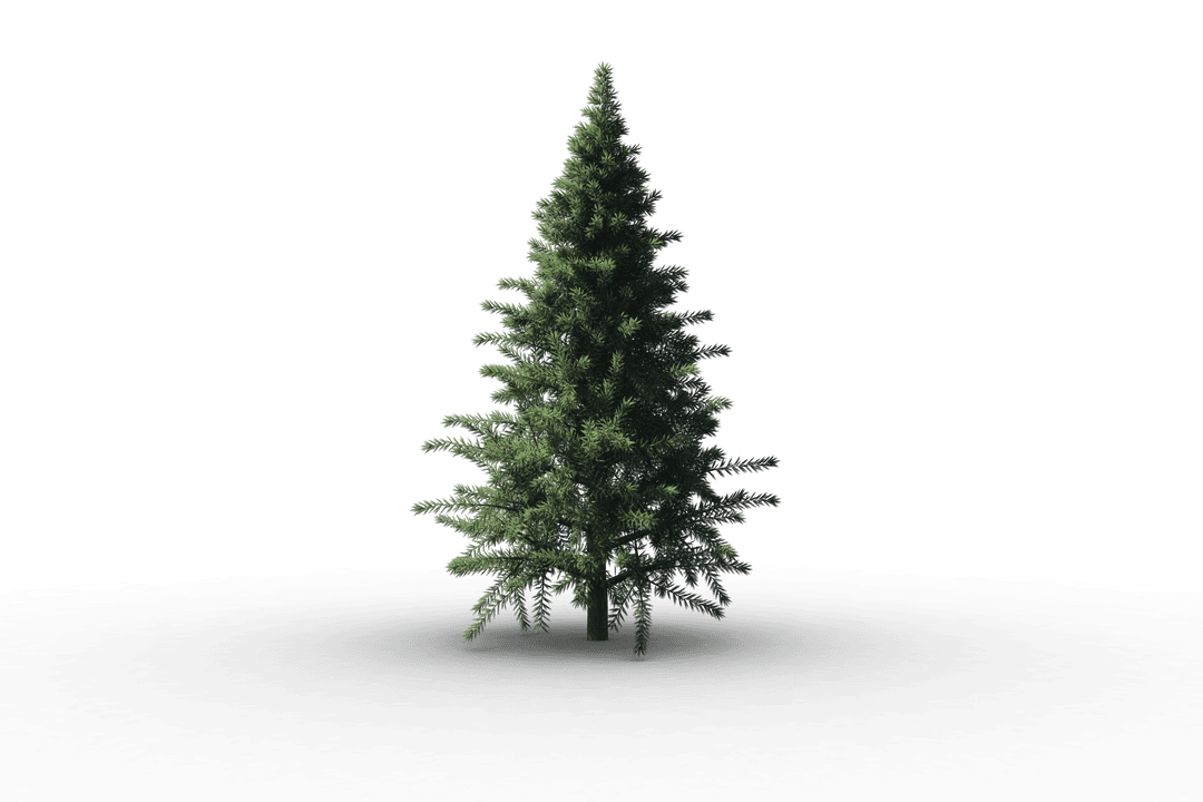 Realistic Christmas Tree on Transparent Background