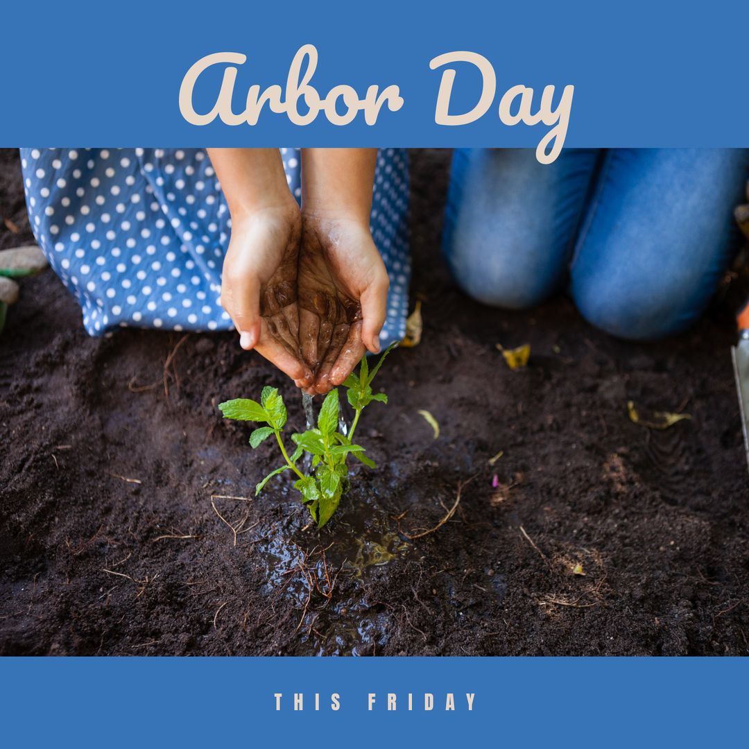 Arbor Day Planting with Focus on Hands and Seedling