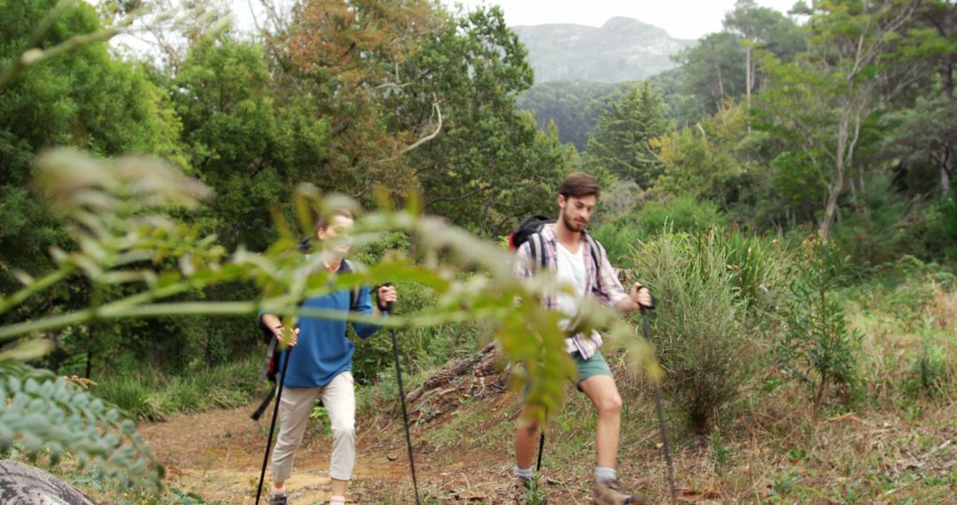 Young Couple Hiking in Lush Green Forest - Free Images, Stock Photos and Pictures on Pikwizard.com