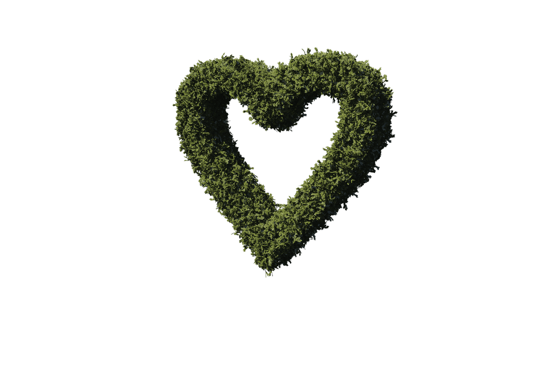 Leafy Heart on Transparent Background for Eco-Friendly Designs