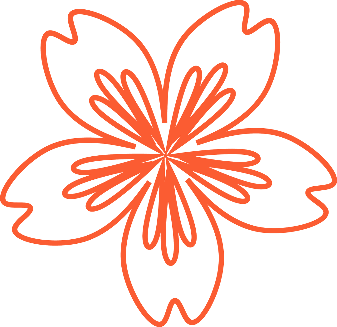 Minimalist Orange Line Art Five-Petaled Flower on Transparent Background