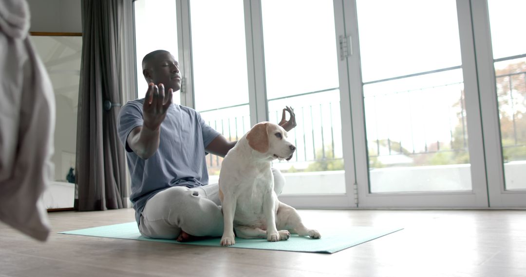 Man Practicing Meditation with Dog on Yoga Mat in Bright Room - Free Images, Stock Photos and Pictures on Pikwizard.com