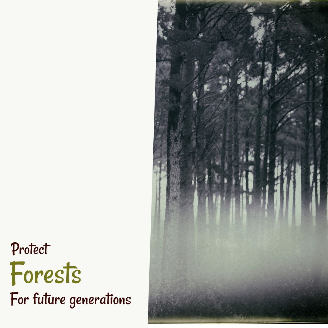 Composite of trees growing in forest and protect forests for future generations on white background - Download Free Stock Templates Pikwizard.com