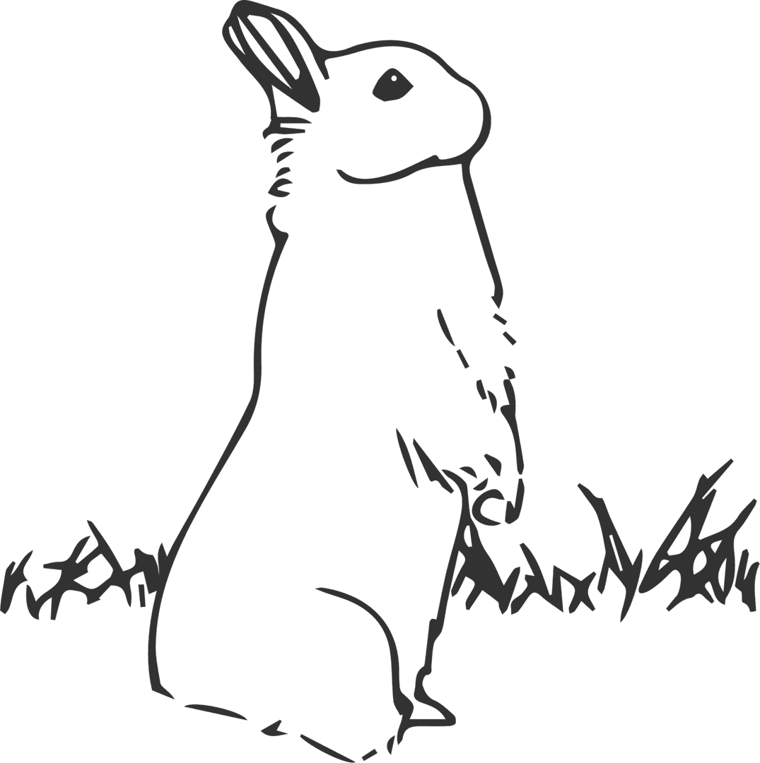 Transparent Standing Bunny Illustration for Easter Celebrations