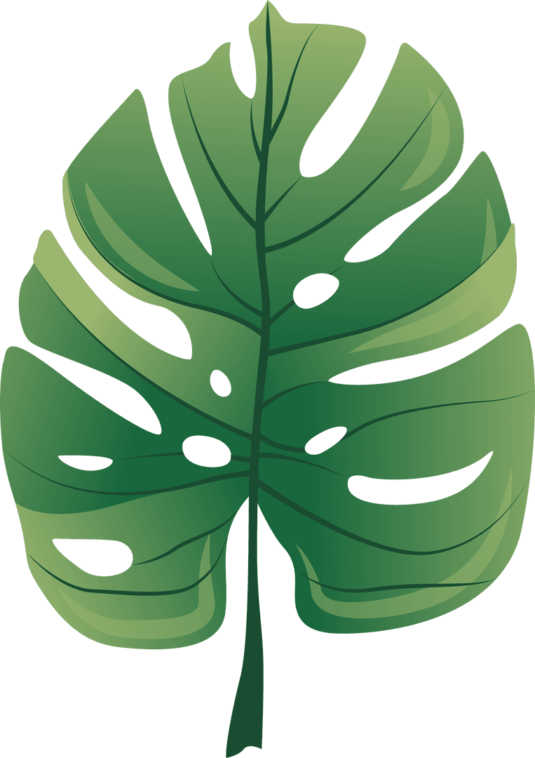 Transparent Green Leaf Icon Vector for Nature Illustrations