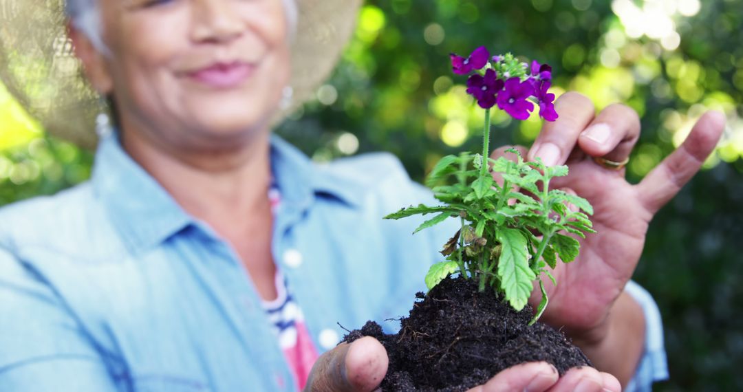 A middle-aged woman is holding a young plant with soil, with copy space - Free Images, Stock Photos and Pictures on Pikwizard.com