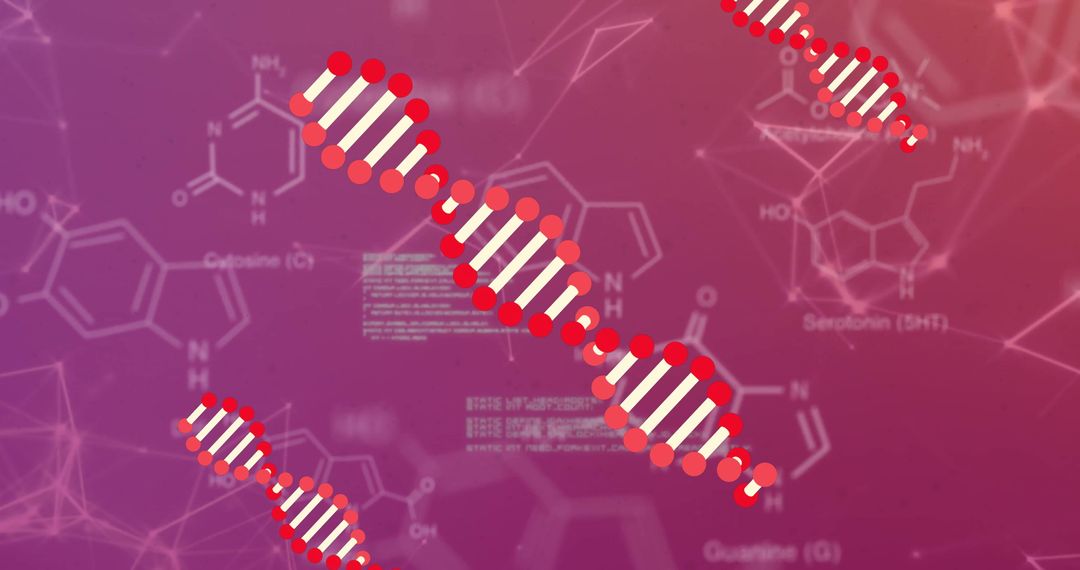 Abstract Visualization of DNA Strands with Chemical Structures