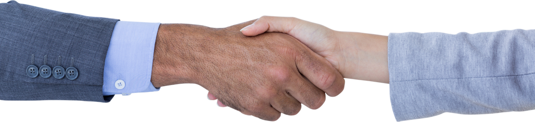 Close-up Transparent Handshake Between Diverse Business People - Download Free Stock Images Pikwizard.com