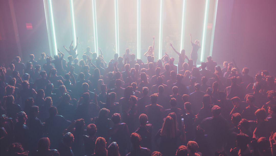 Energetic Concert Crowd Enjoying Night with Dynamic LED Light Show
