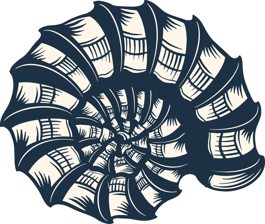 Navy Seashell Pattern with Abstract Elegance on Transparent Background