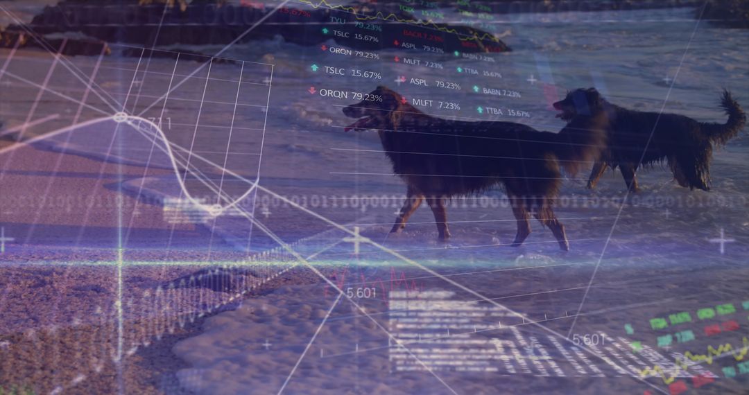 Blurred Digital Data Processing Overlay with Dogs at Beach
