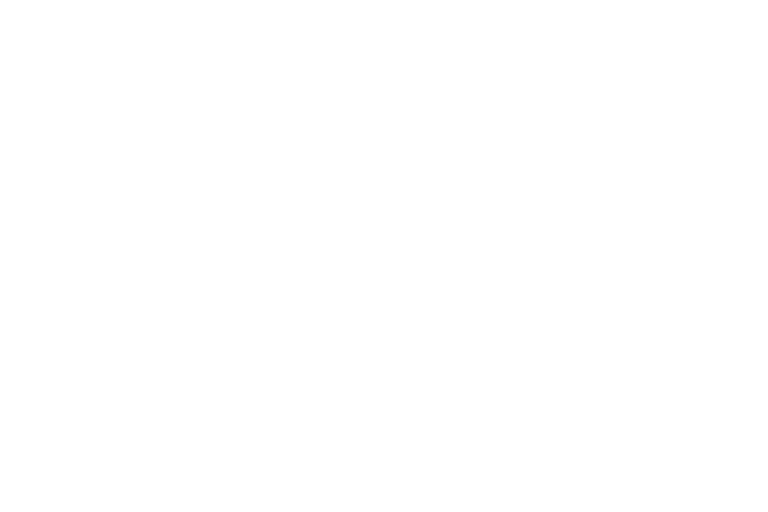 Mesh Circle Illustration on Transparent Background Isolated