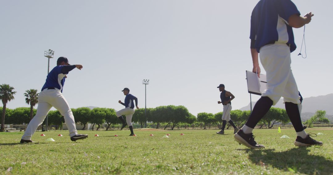 Baseball Team Warming Up During Training Session Outdoors - Free Images, Stock Photos and Pictures on Pikwizard.com