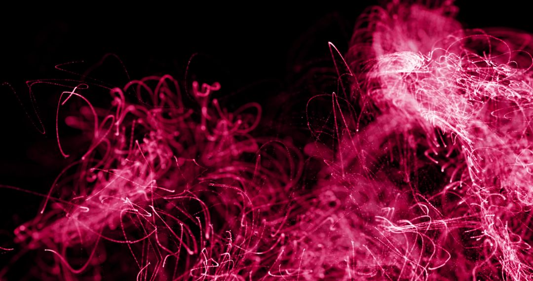 Dynamic Pink Light Trails on Black Background