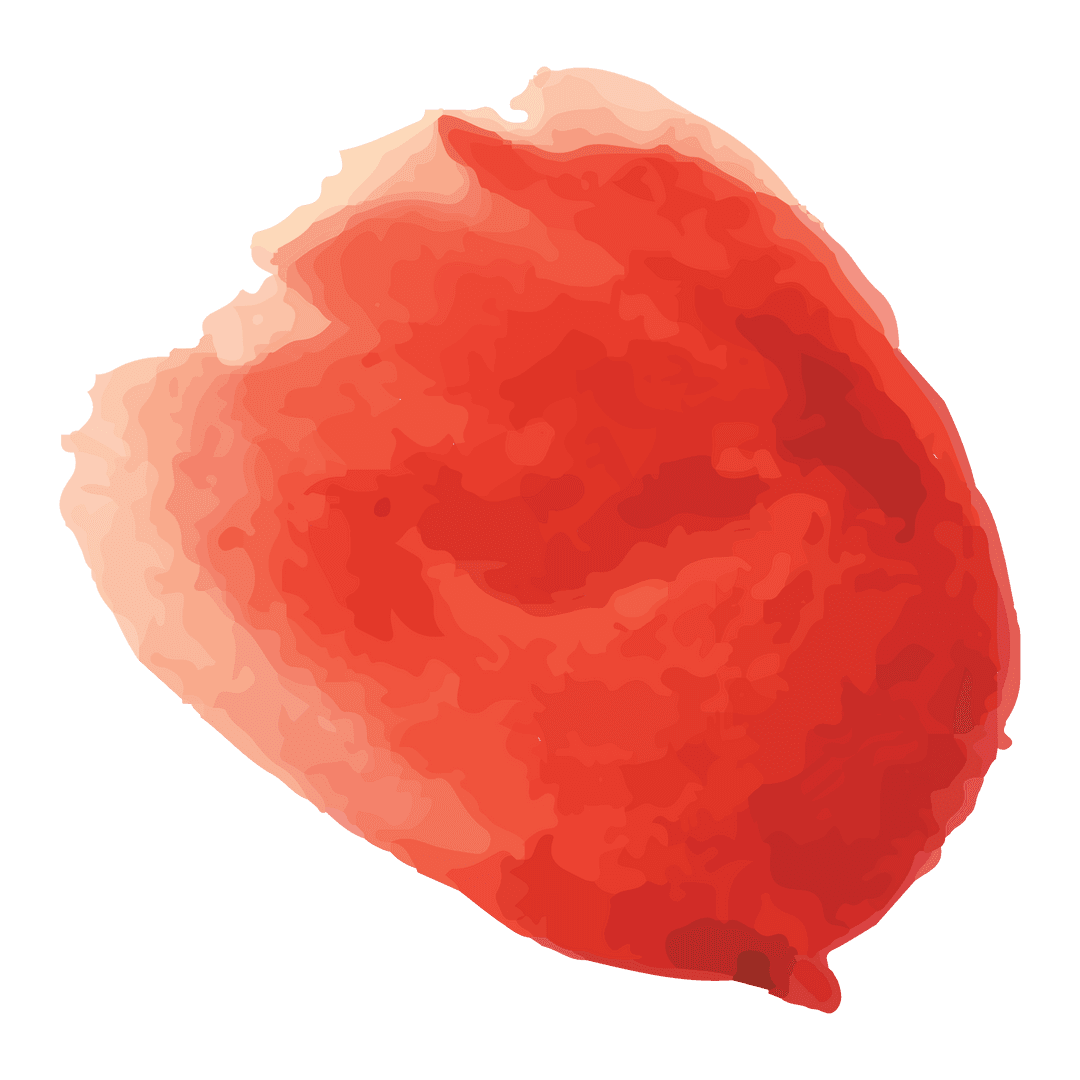 Vibrant abstract red shape on transparent background