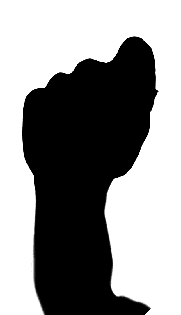 Transparent Raised Fist Silhouette Celebrating Unity