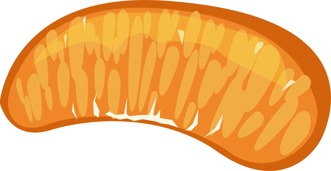 Vibrant Orange Citrus Fruit Segment on Transparent Background