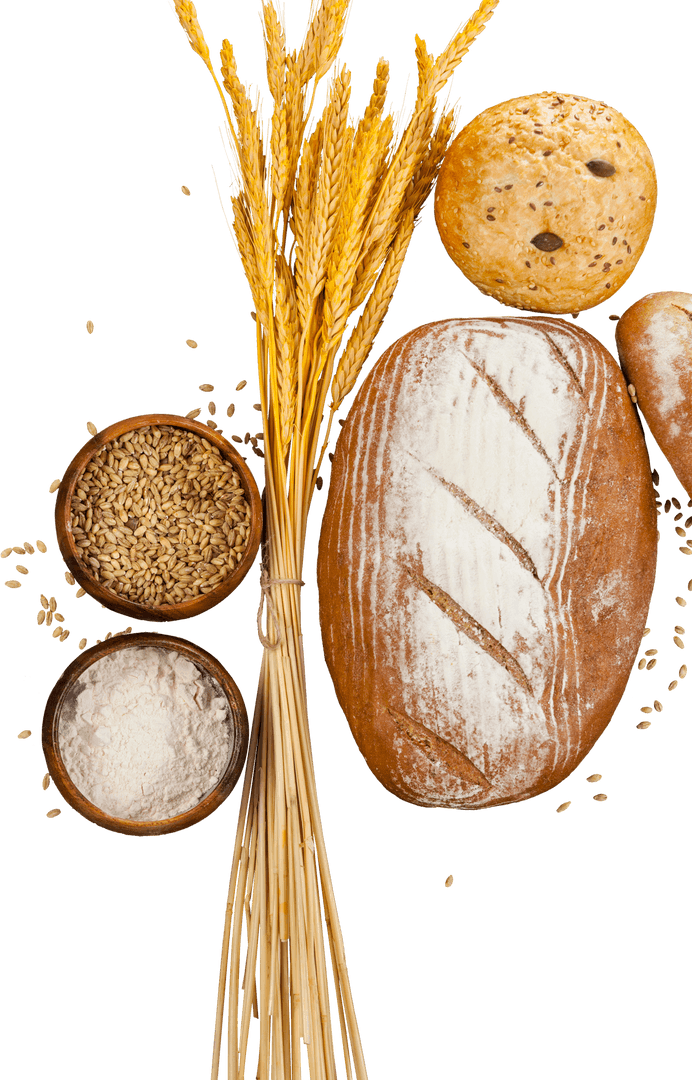 Artisanal Bread and Ingredients on Transparent Background