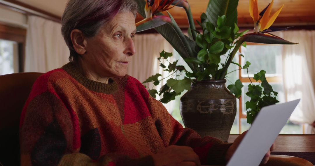 Senior Woman Reading Document in Cozy Home Interior - Free Images, Stock Photos and Pictures on Pikwizard.com