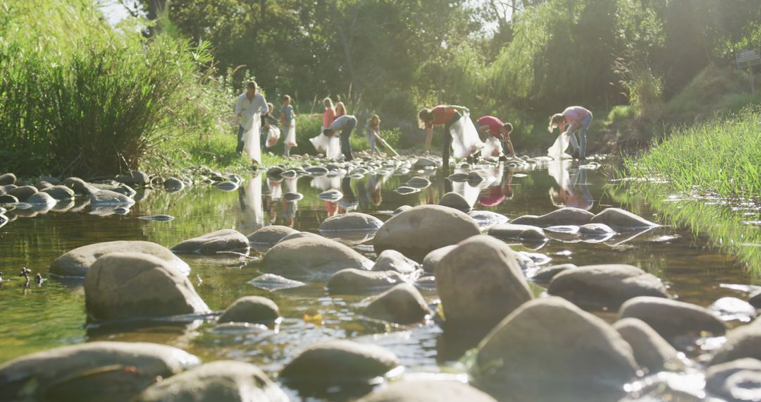 Volunteers Cleaning Trash in a Forest Stream - Free Images, Stock Photos and Pictures on Pikwizard.com