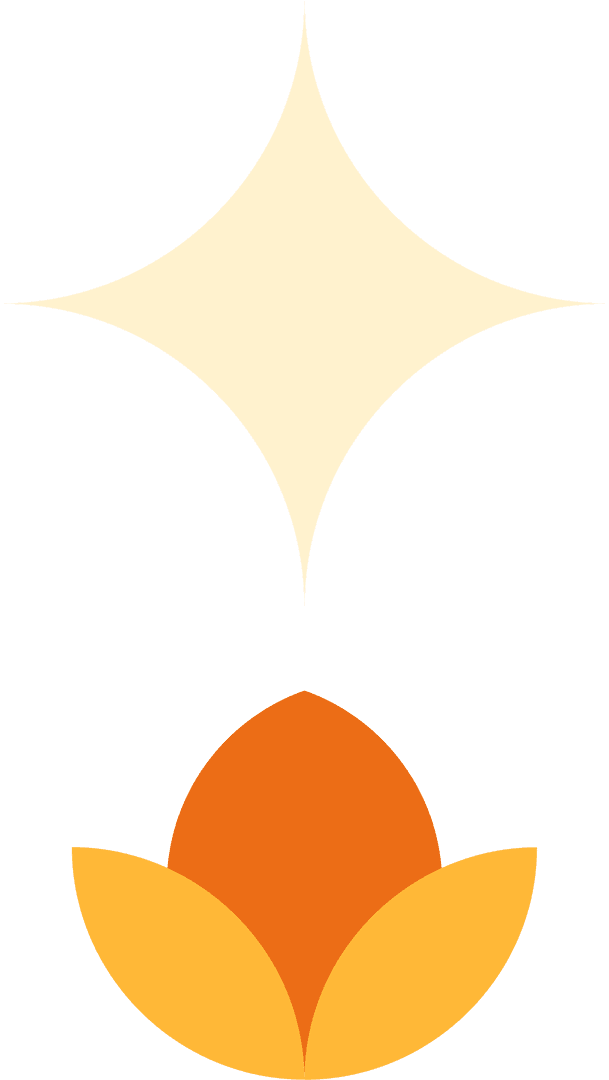 Elegant Flat Design Star Sparkle and Flower on Transparent Background