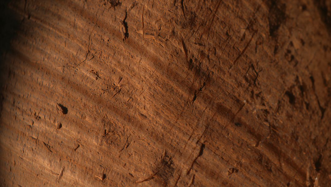 Macro close-up showing weathered wood grain, scratches, sawdust and tool marks under light