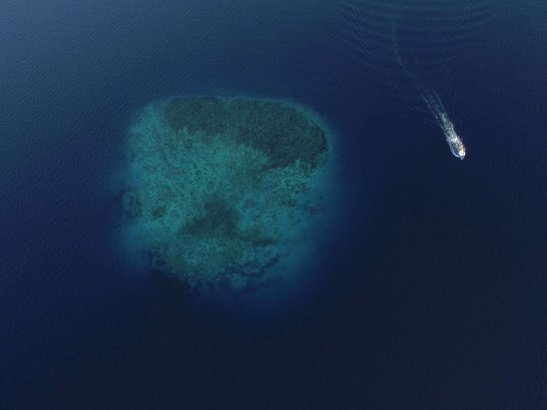 Aerial View of Lush Underwater Reef and Moving Boat