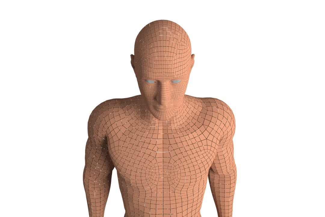 Transparent View of 3D Model of Human Figure Looking Down - Download Free Stock Images Pikwizard.com