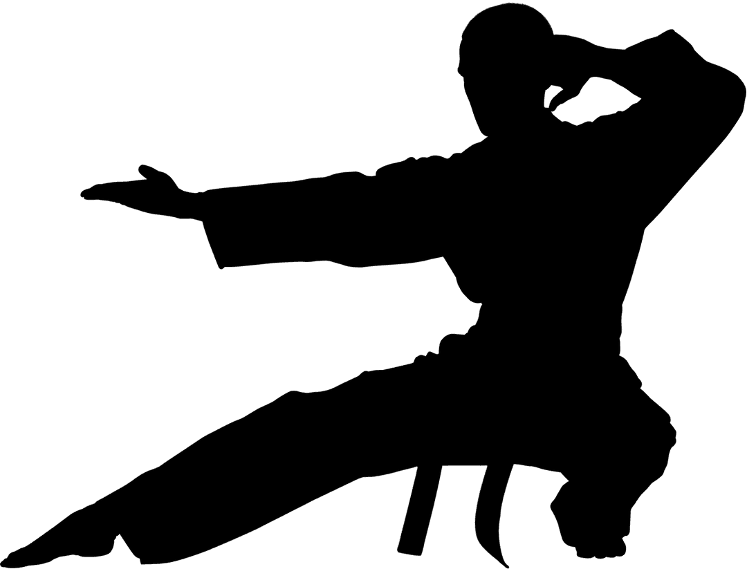 Transparent Digital Silhouette of Karate Man in Action