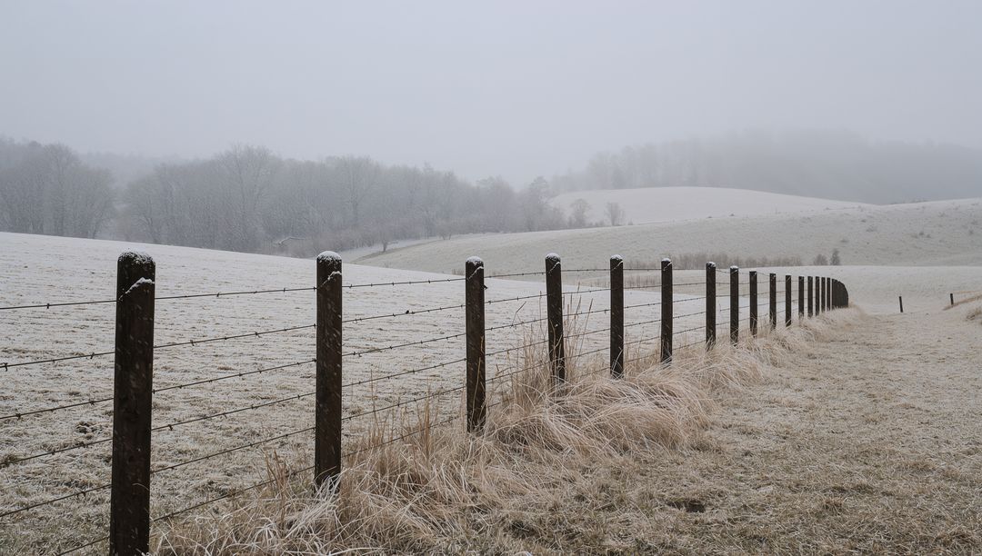 Frost-covered fence posts stretching across misty winter pasture with frosted hills