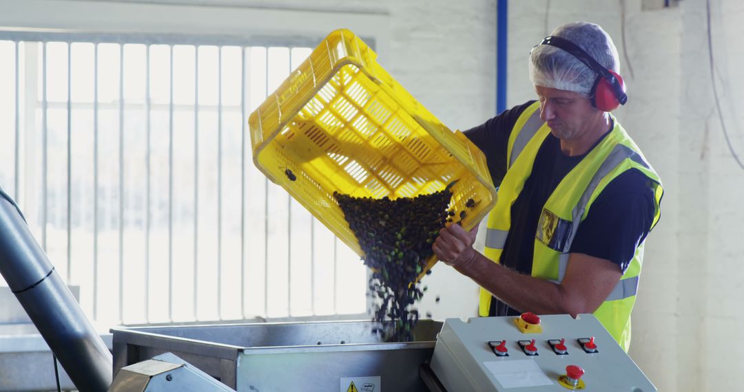 Industrial Worker Processing Harvested Grapes in Factory Setting - Free Images, Stock Photos and Pictures on Pikwizard.com