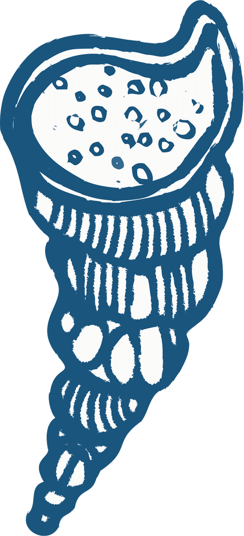 Hand-Drawn Seashell with Blue Spiral on Transparent Background