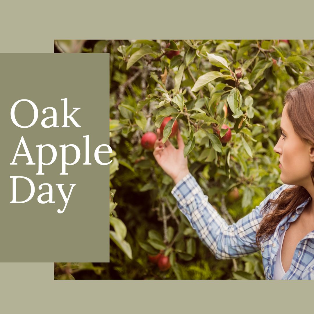 Young Woman Picking Apples on Farm during Oak Apple Day Celebration - Download Free Stock Templates Pikwizard.com